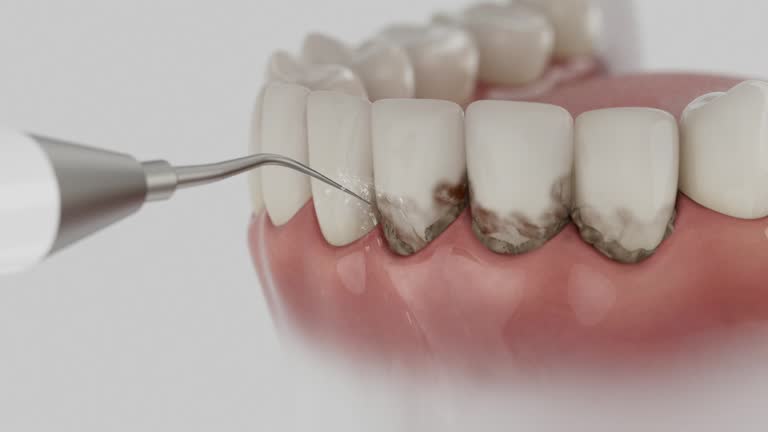 Reliable Dental contractor in Waynesboro, TN by Dentist Open Now